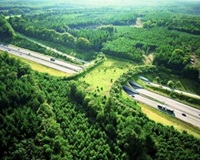 wildlife bridge to help animals cross the highway